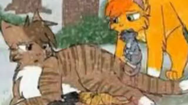 Листвичка и Белка*-*|Leafpool and Squirrelflight*-* смотреть онлайн