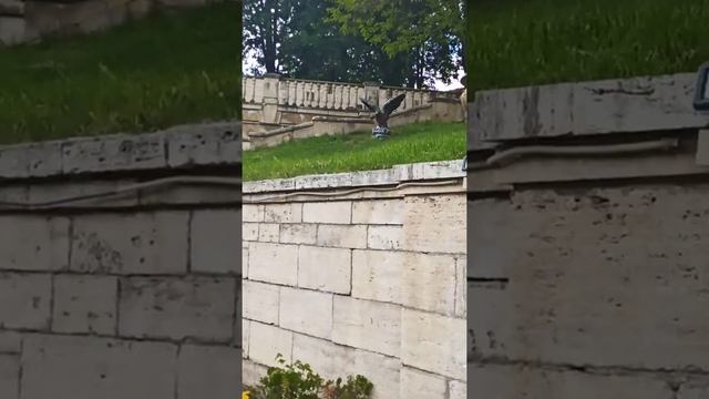 Ессентуки май 2022 . Лечебный парк . смотреть онлайн