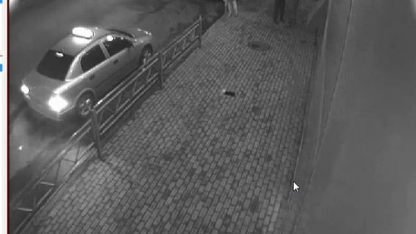 Индиго 2010 год