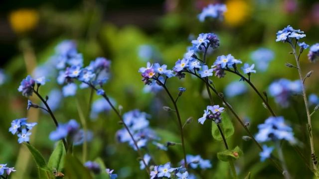 Muhteşem Türküler | Bahar Türküleri [KESİNTİSİZ - HD] #türkü #türküler