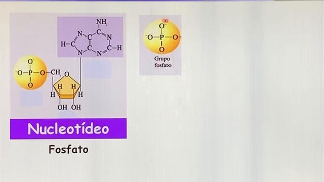 Ácidos Nucleicos parte 1 смотреть онлайн