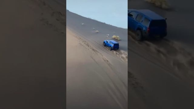 Desert Drive смотреть онлайн