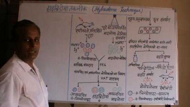 Hybridoma Technology (in Hindi) || Biotechnology || смотреть онлайн