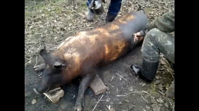 Душевная украинская песня смотреть онлайн