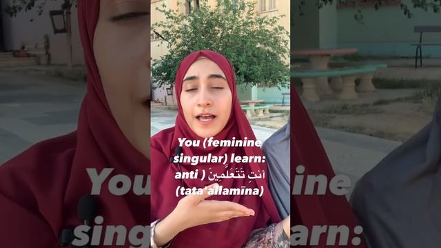 Verb “ TO LEARN “ 😍يتعلم How to conjugate it ? #arabic #learning #arab смотреть онлайн