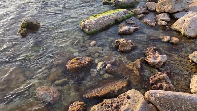 Небольшие морские волны. Переливы прозрачной воды. Красивые камни на берегу. #sea #seawaves #seawee смотреть онлайн