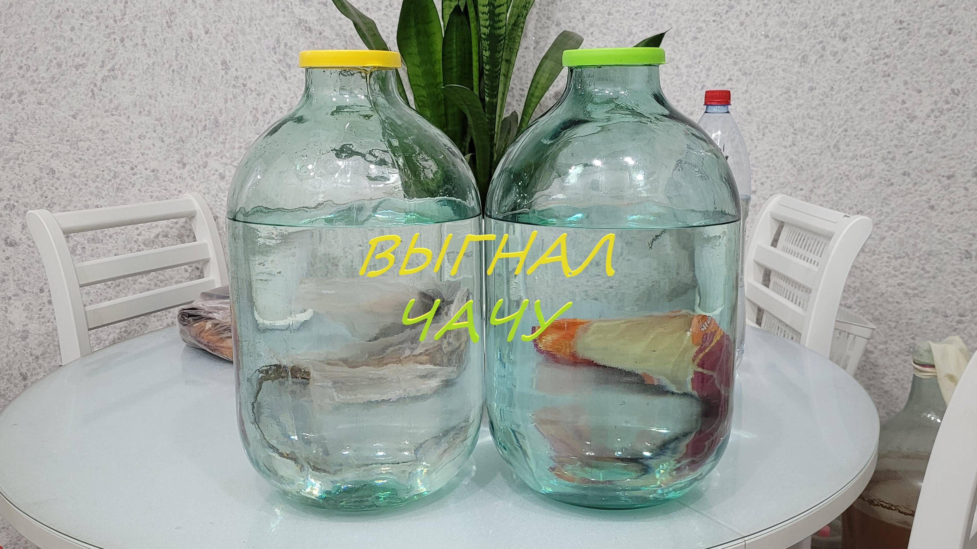 Перегон Чачи из винограда Изабелла