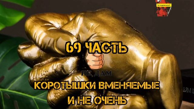 КОРОТЫШКИ, 69 ЧАСТЬ смотреть онлайн