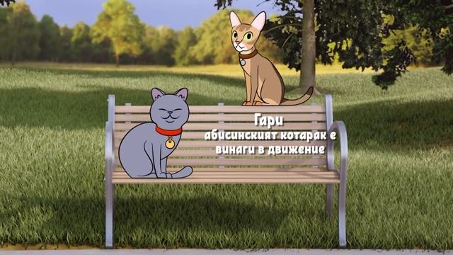 Намери подходящата порода котка | PURINA® Училище на четири лапи смотреть онлайн