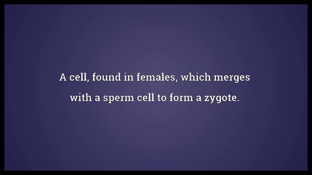 Egg cell Meaning смотреть онлайн