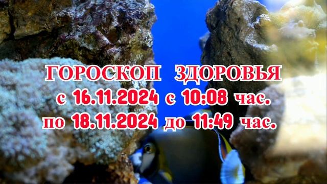 «ГОРОСКОП ЗДОРОВЬЯ с 16 по 18 НОЯБРЯ 2024 года!» смотреть онлайн