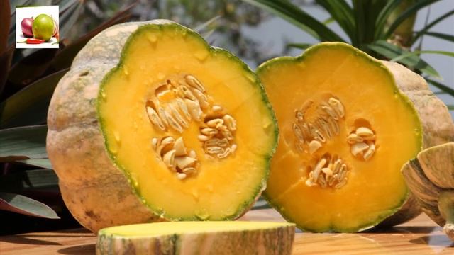 Why are Pumpkin Seeds Good for Your Brain смотреть онлайн