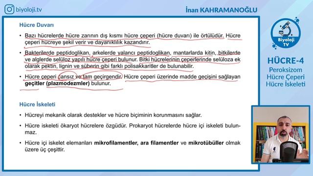 Hücre | Konu Anlatımı-4 | 9.Sınıf Biyoloji смотреть онлайн