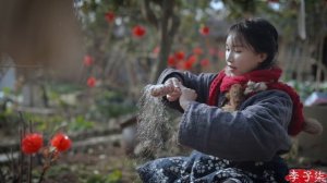 Chinese New Year’s decorations, goods and snacks！明日除夕，挂灯笼、贴对联、备好年货过大年啦！丨Liziqi Channel