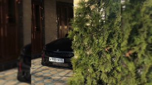 Чеченские песни 2023 лезгинка новинка (Remix & bass) 🔥