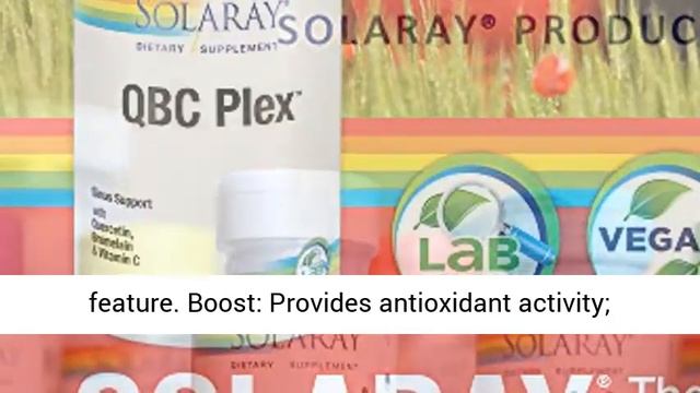 Solaray QBC Plex Quercetin & Bromelain Plus Vitamin C Year Round Immune Function & Respiratory смотреть онлайн