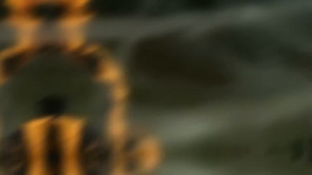 PRESET BASE | Alight Motion | 1080 P 60 Fps