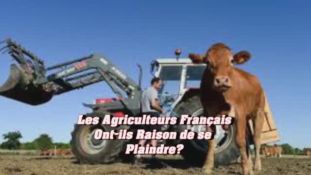 MERCOSUR: LES AGRICULTEURS FRANçAIS ONT ILS RAISON De SE PLAINDRE?