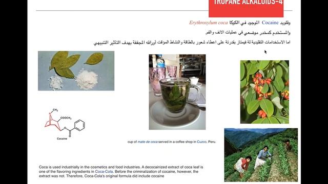 Lecture 4: Alkaloids- part. 3 ...Dr Areej Hasan смотреть онлайн