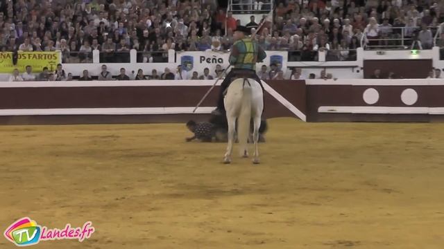 Spectacle Taurin de Toros y Salsa à Dax смотреть онлайн