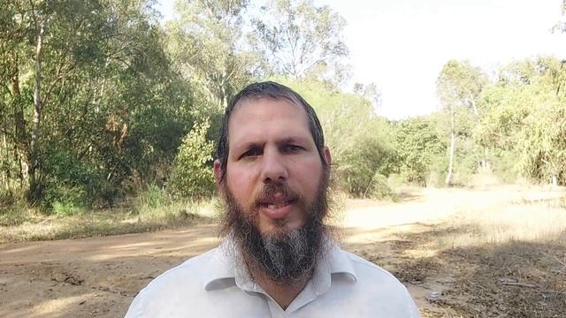 מה הוא תוסף הכורכום ( הכורכומין ) היעיל ביותר בישראל (turmeric) | שי חורש נטורופת | תוספי תזונה 💊 смотреть онлайн