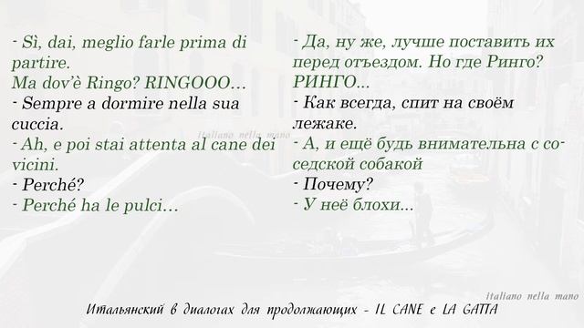Диалоги на итальянском для продолжающих. 3: IL CANE E LA GATTA