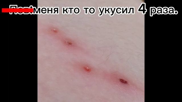 ||ШО ЗА CK@TИН@ Это сделала?!👿 ХАХА ФРАЗА НАШЕЙ МАТЕМАТИЧКИ ЕСЛИ КТО-ТО ИСПОРТИЛ КАРТОЧКУ🌝.||#6мая смотреть онлайн