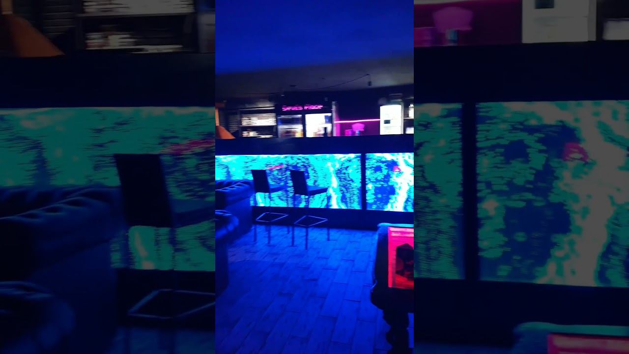 Продам готовый бизнес. Кальянная - Lounge Bar 250 кв.м  Центр города +79788171325 смотреть онлайн