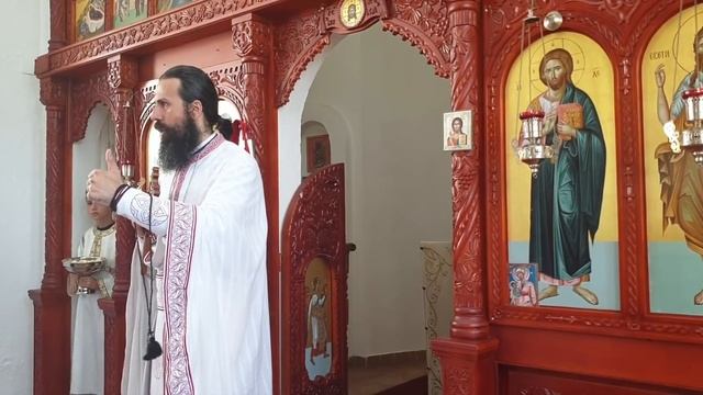 ДУХОВНЕ ДИЛЕМЕ - један поглед на проблем вакцина и вакцинације - о. Георгије (Станковић) смотреть онлайн