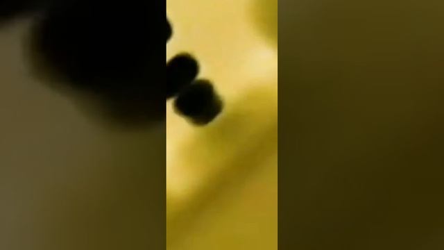 а бож зач я это выкладываю.. смотреть онлайн