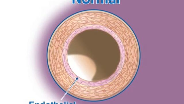 livingwithph.ca - CHEMICAL MEDIATORS смотреть онлайн