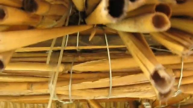 Осмии смотреть онлайн