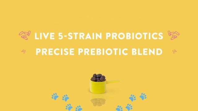 Happy Go Healthy Gut Health Premium Dog Supplement смотреть онлайн