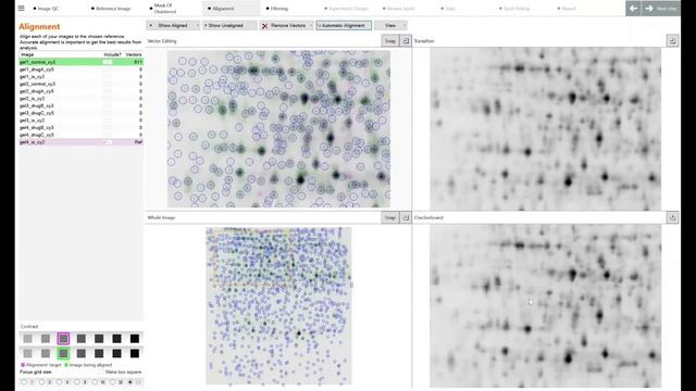 How to Align (Automatically and Manually) 2D Western Blot or 2D-PAGE Images for Proteomic Studies смотреть онлайн