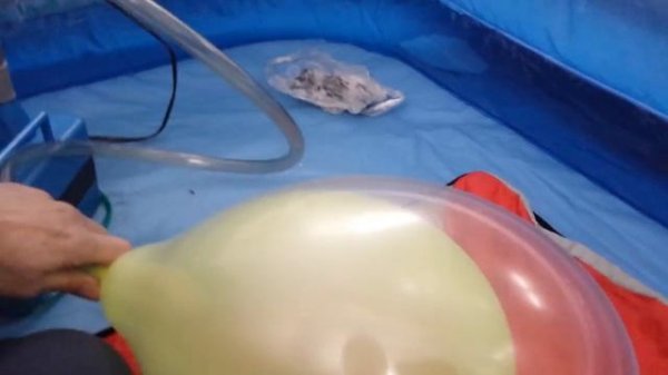 Neon balloon in balloon pump to pop