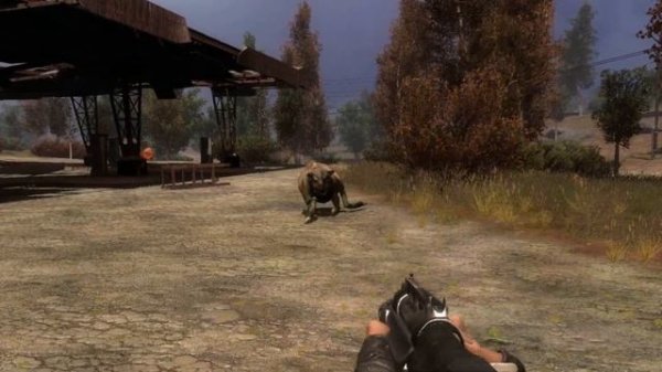 STCoP Weapon Pack 2.9 - Оружейный мод STALKER CoP 1.6.02