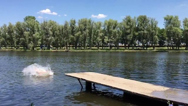 Полет на боку, Прыжки в воду (slow mo) смотреть онлайн