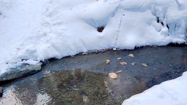 Зимний ручей в лесу смотреть онлайн