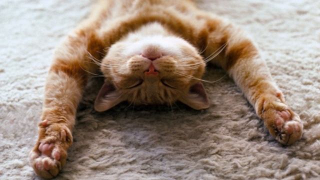 Просто расслабьтесь