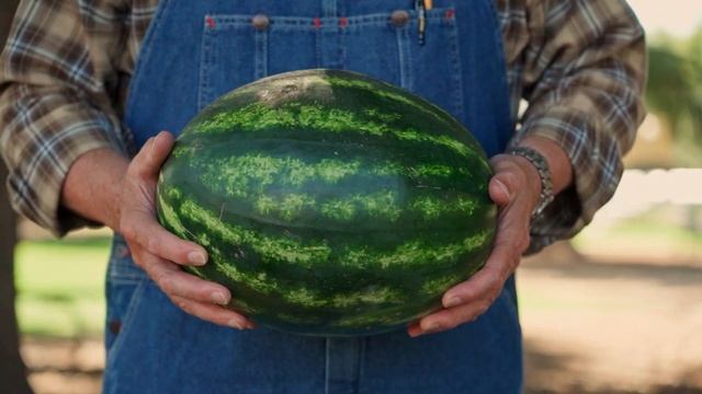 What Is The Benefits Of Watermelon? | Watermelon Nutrition смотреть онлайн