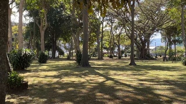 Listening | Walking in a park | Russian for Beginners