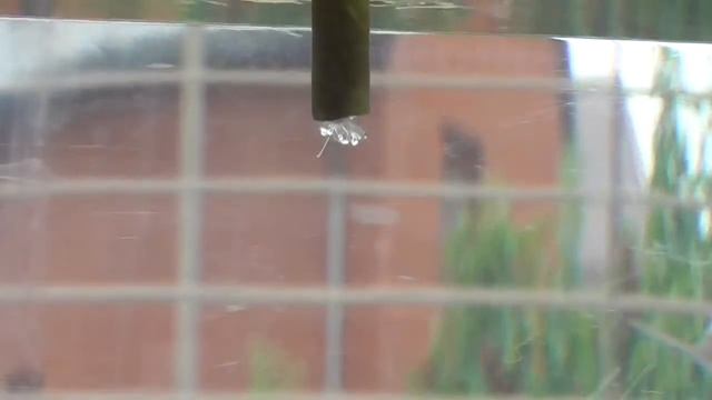 Кристаллизация сегнетовой соли [] Crystallization Of Rochelle Salt