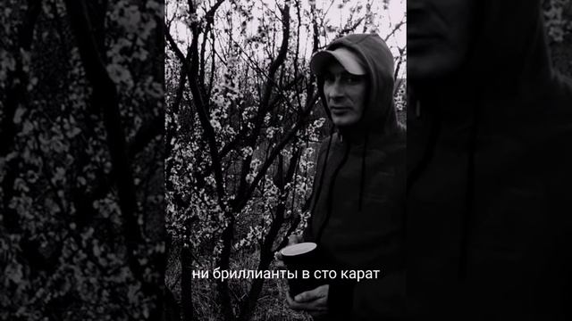 Сергей Шапран - За бетонным кольцом смотреть онлайн