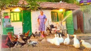 Живем одни на хуторе в Крыму! Уехали из большого города. Ферма и закаты - что еще надо для счастья?