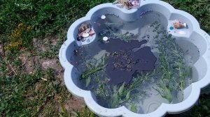 Чистка в потоке от блоков на развязку кармических узлов, нечисти, мертвяков,порч на отеошения,бывши