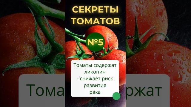 5-й секрет томатов: содержит ликопин, который… #томаты #всёотоматах @ugoloksadovoda смотреть онлайн
