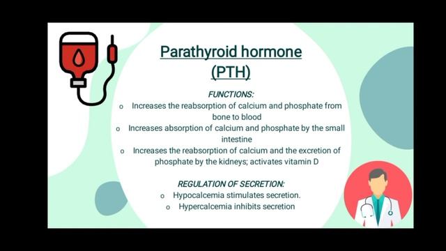 Endocrine System смотреть онлайн