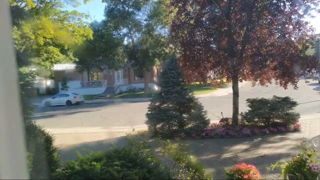 Just Miss My Old Days смотреть онлайн