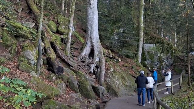Самые высокие водопады в Германии | Триберг | Triberg Wasserfälle