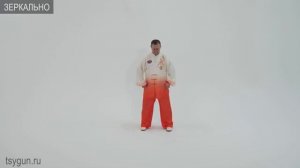 У Цинь Си. Игры пяти зверей. Виктор Стерликов. Международная методика